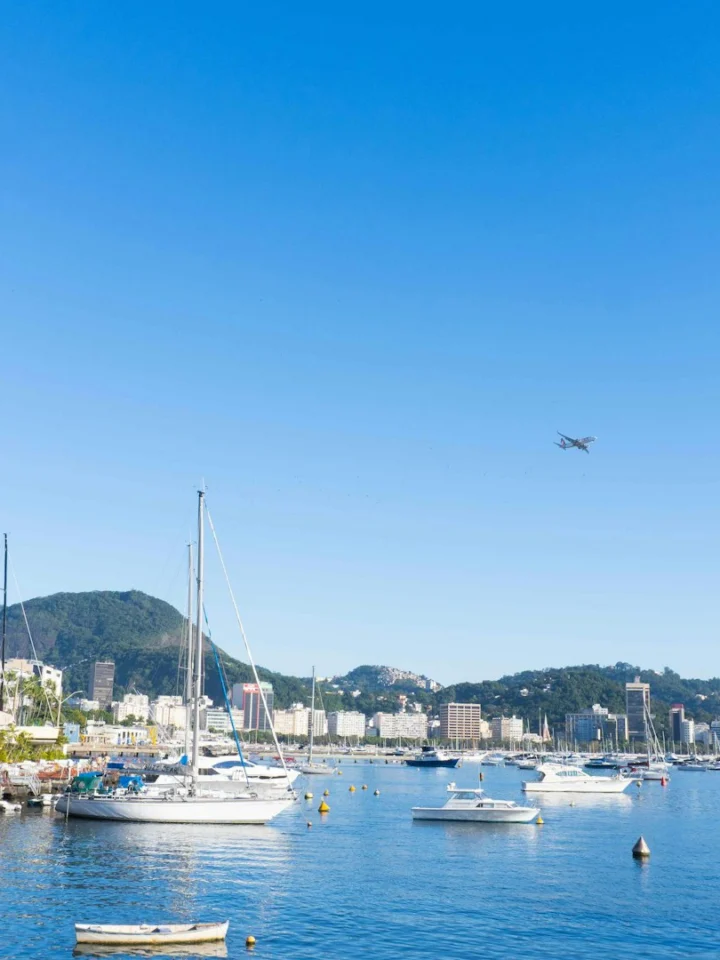 Rio de Janeiro harbor with Sugarloaf Mountain above the marina